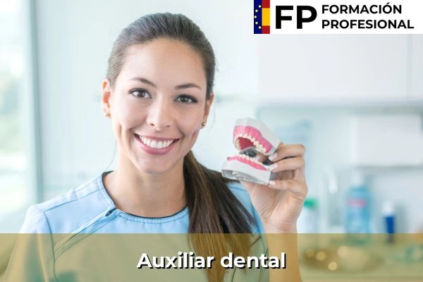 Higienista dental 28 Auxiliar dental