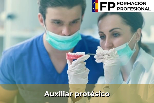 Auxiliar protésico
