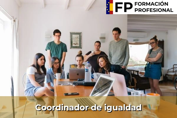 Mediador social 28 Coordinador de igualdad