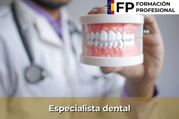 Especialista dental