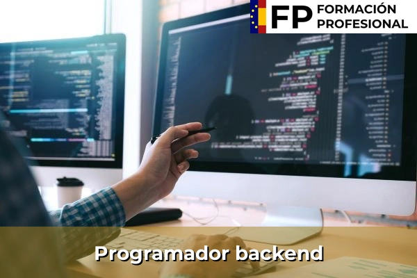 Desarrollador web 28 Programador backend