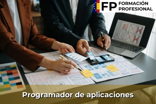 Analista programador 29 Programador de aplicaciones