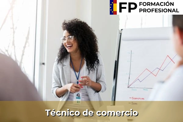 Dependiente 29 Técnico de comercio