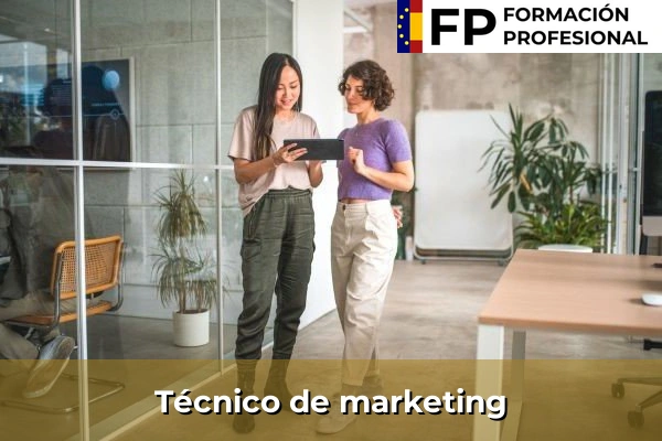 Gestor de redes sociales 29 Técnico de marketing
