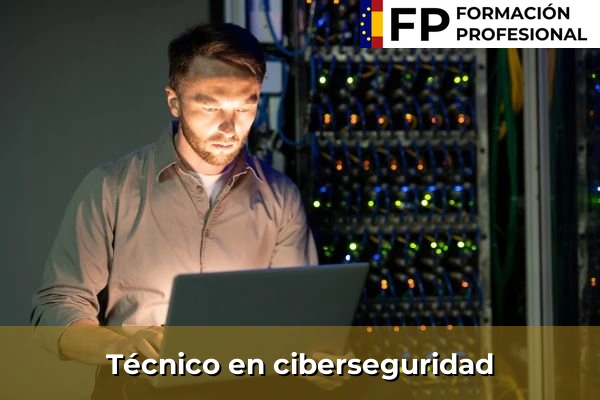 Administrador de sistemas 30 Técnico en ciberseguridad