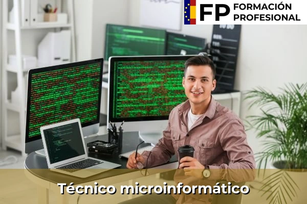 Técnico microinformático