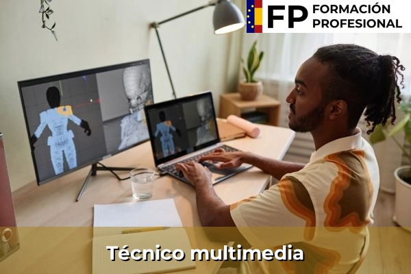 Artista digital 30 Técnico multimedia