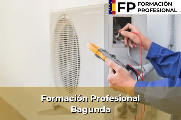 Formación Profesional en Bagunda