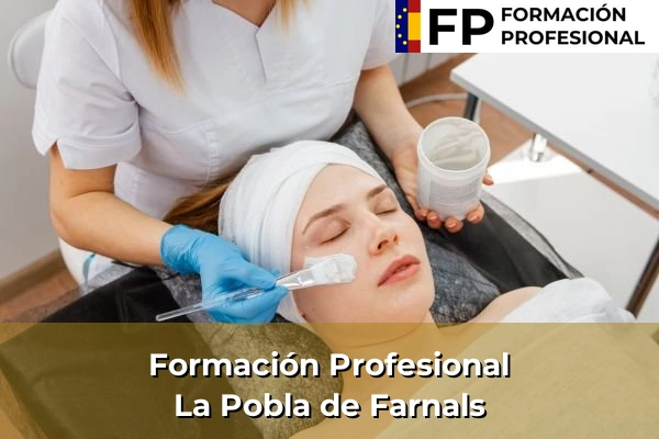 Formación Profesional en Comunidad Valenciana 96 Formación Profesional en La Pobla de Farnals