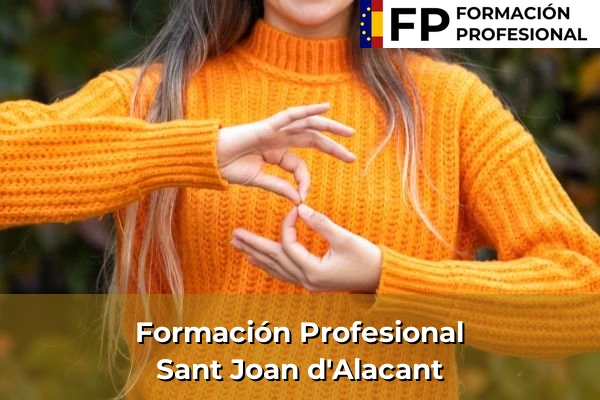 Formación Profesional en Comunidad Valenciana 244 Formación Profesional en Sant Joan d'Alacant