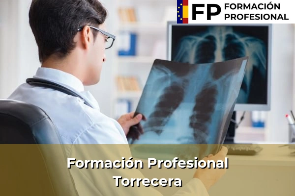 Formación Profesional en Andalucía 259 Formación Profesional en Torrecera
