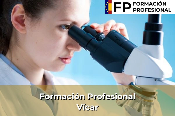 Formación Profesional en Vic